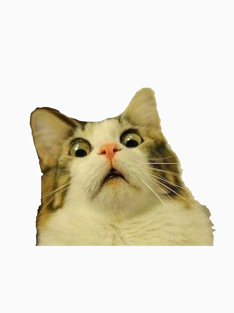 Surprised cat meme by carolineduffy T-Shirts, Hoodie, Sweatshirt | BlankRebels.com (Image 3)