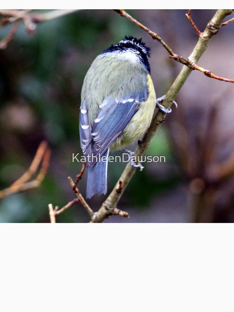 blue tit by KathleenDawson T-Shirts, Hoodie, Sweatshirt | BlankRebels.com (Image 3)