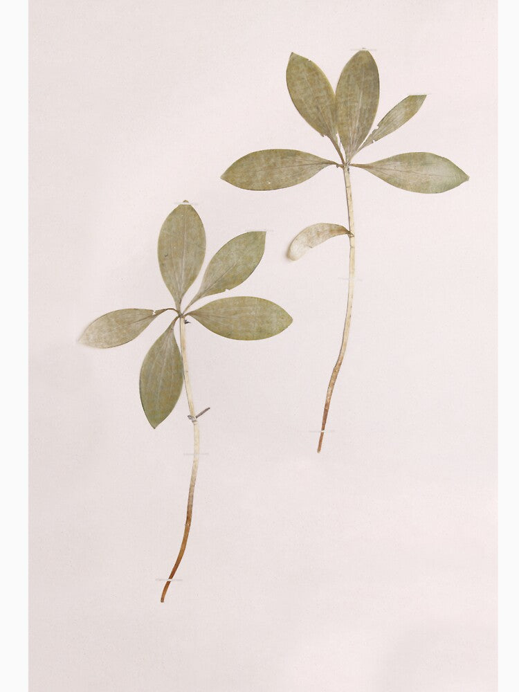 Green Leaf Watercolor by newburyboutique T-Shirts, Hoodie, Sweatshirt | BlankRebels.com (Image 3)