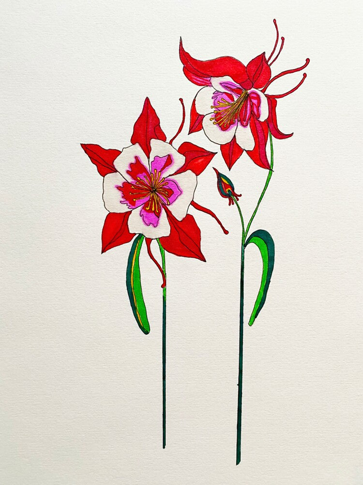 The Red Columbine by BOTANICALART T-Shirts, Hoodie, Sweatshirt | BlankRebels.com (Image 2)