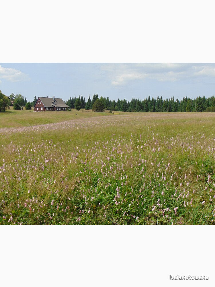 Summer meadow in Jizera Mountains, Czech Republic by lusiakotowska