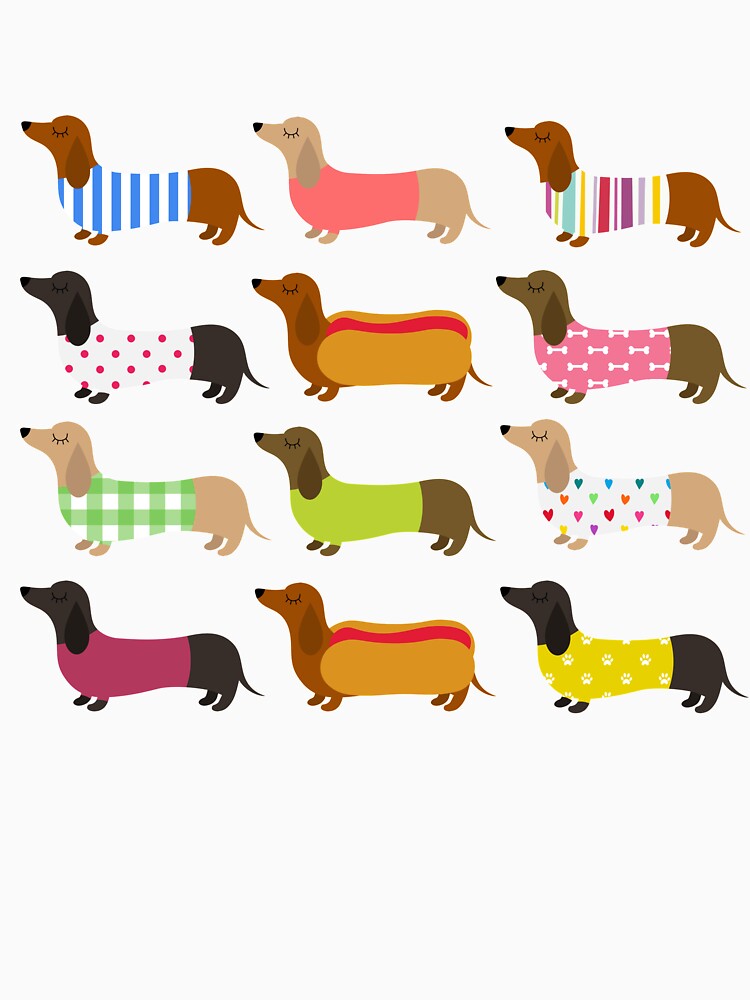 COLORFUL DACHSHUND by BONMOTSSHOP T-Shirts, Hoodie, Sweatshirt | BlankRebels.com (Image 3)