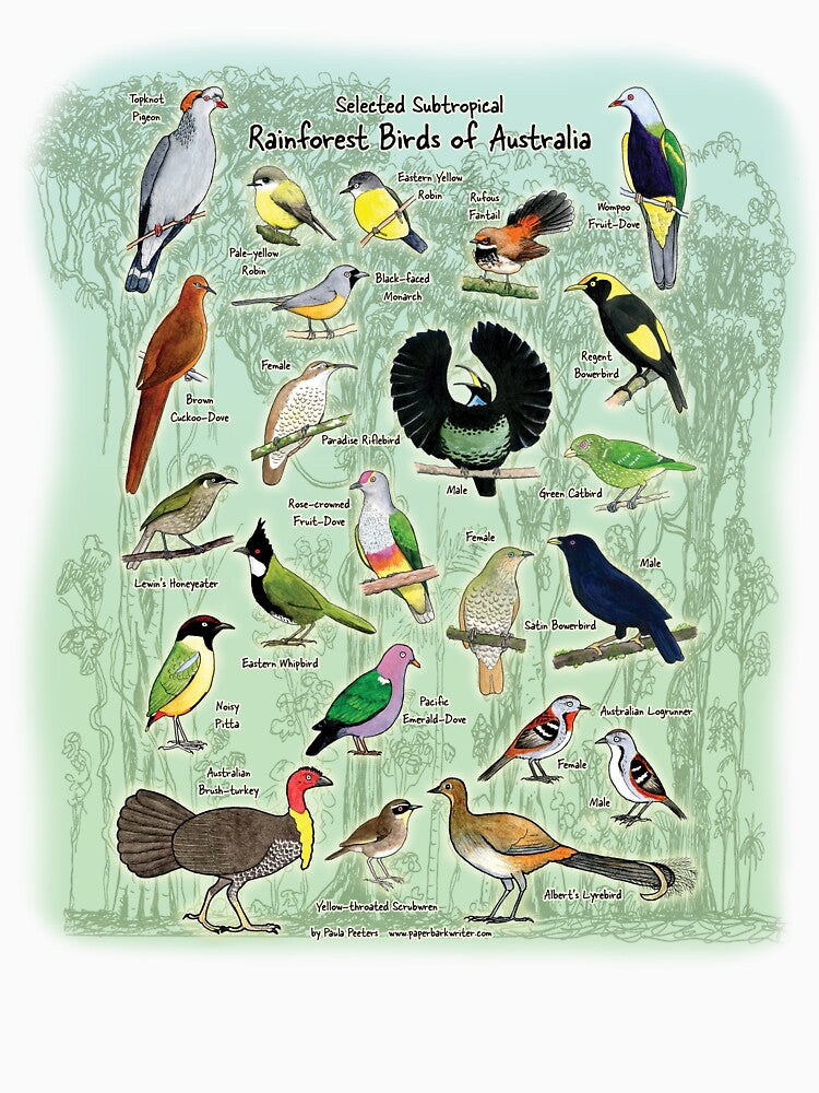 Subtropical Rainforest Birds of Australia by Paula Peeters T-Shirts, Hoodie, Sweatshirt | BlankRebels.com (Image 3)