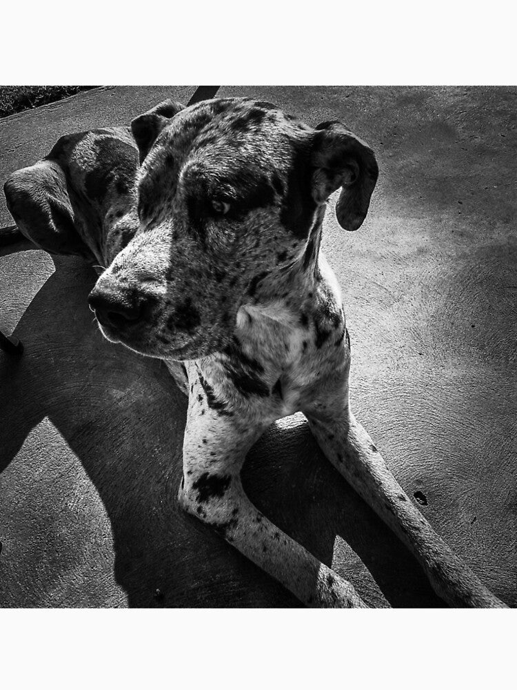 Great Dane by Bellas79 T-Shirts, Hoodie, Sweatshirt | BlankRebels.com (Image 2)