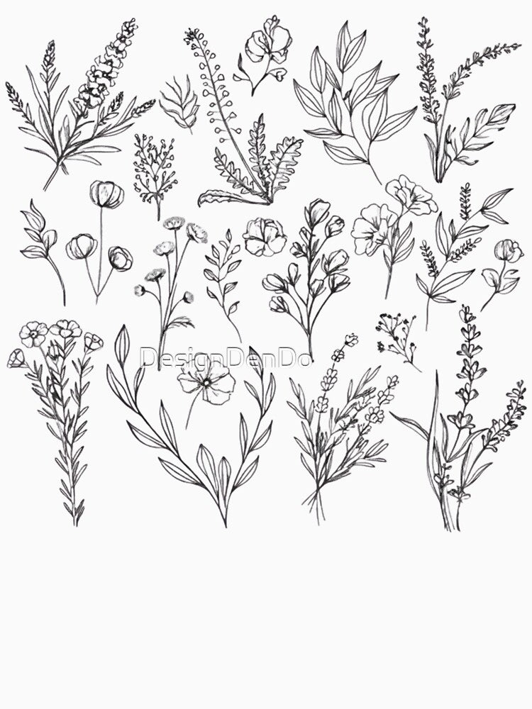 Botanical, Vintage Wildflower, Flower, Vintage Botanical, Botanical Print, Vintage Flower, Graphic by... (Image 3)