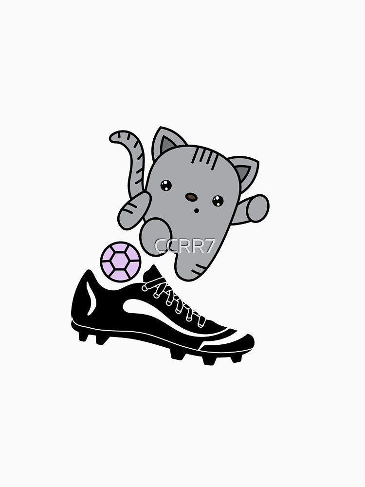 a cat play football by CCRR7