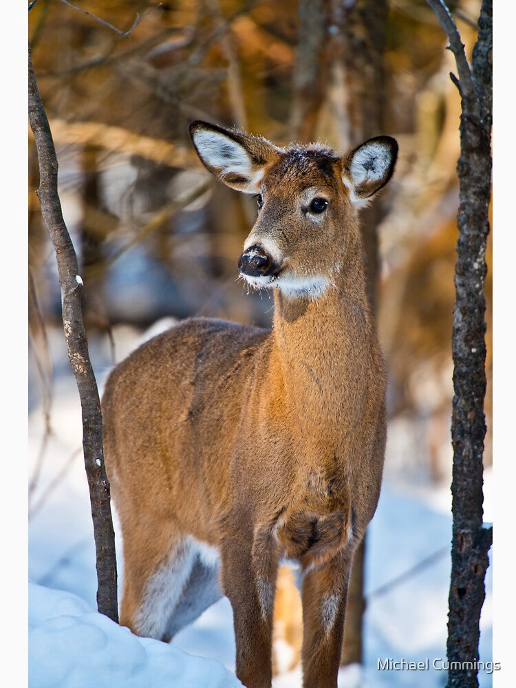 White-tailed Deer by Michael Cummings T-Shirts, Hoodie, Sweatshirt | BlankRebels.com (Image 3)