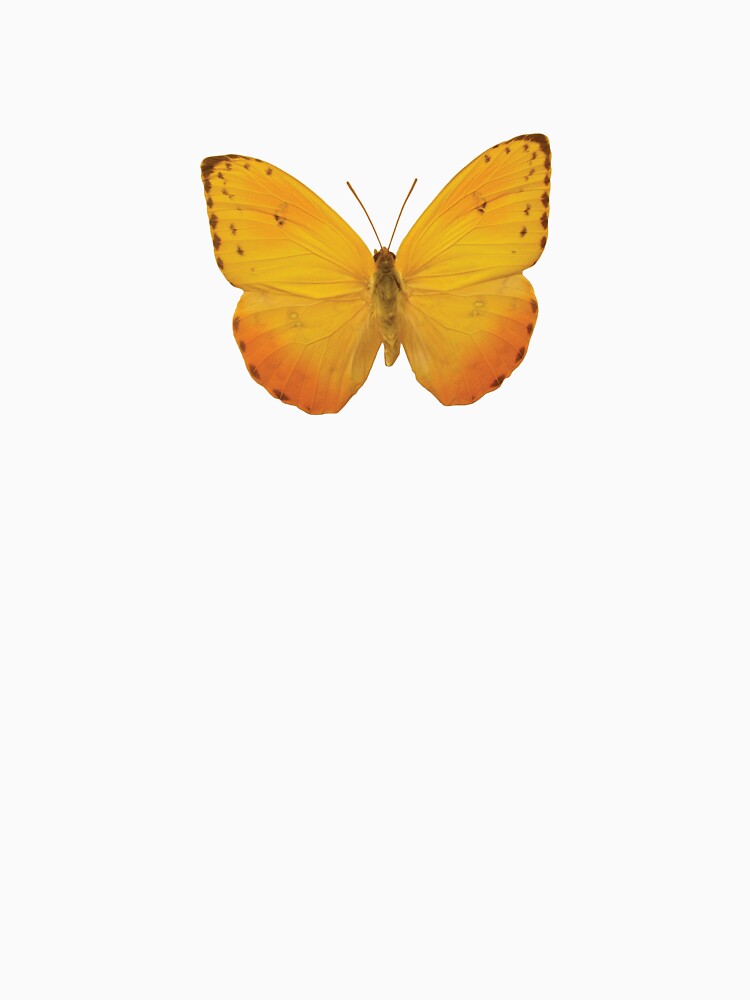 golden yellow butterfly by katherine76 T-Shirts, Hoodie, Sweatshirt | BlankRebels.com (Image 3)