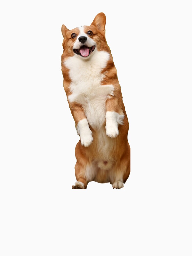 cute dog by Momojiro T-Shirts, Hoodie, Sweatshirt | BlankRebels.com (Image 3)