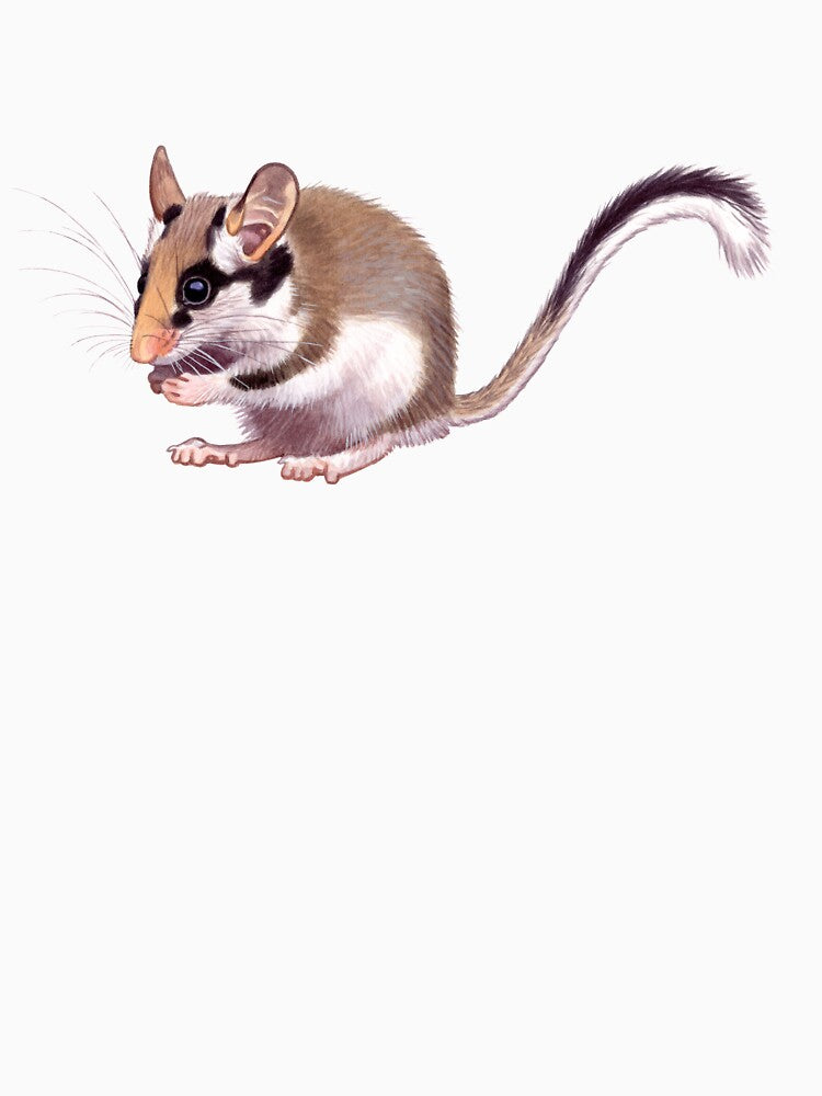 Garden Dormouse by kokayart T-Shirts, Hoodie, Sweatshirt | BlankRebels.com (Image 3)