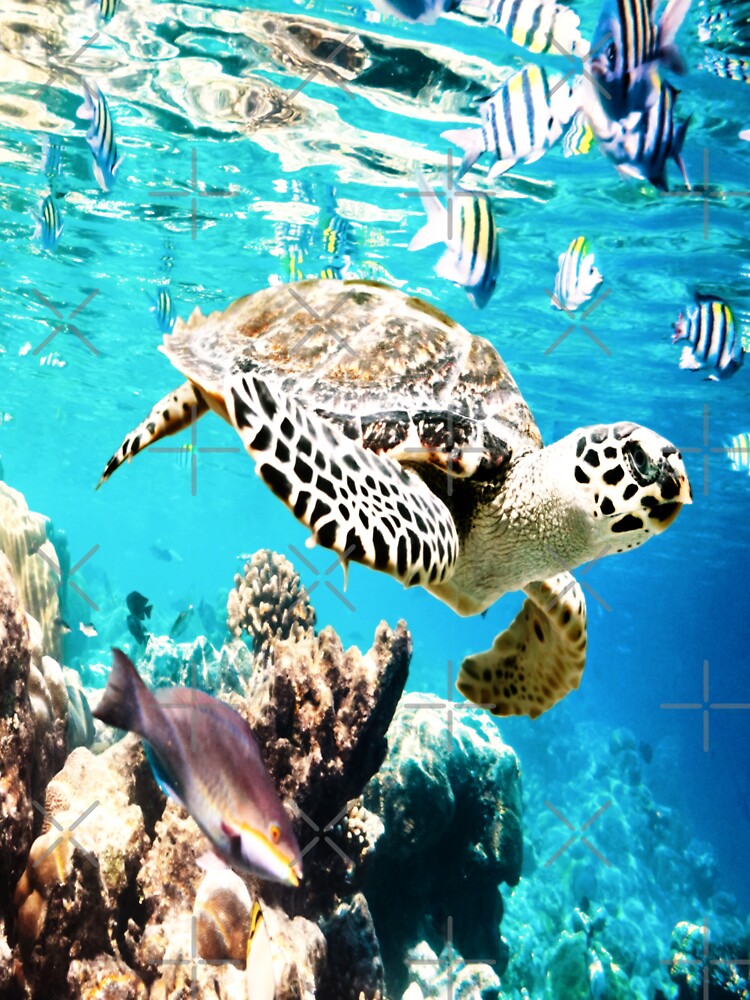 Awesome Ocean Turtley by Castiel88 T-Shirts, Hoodie, Sweatshirt | BlankRebels.com (Image 3)