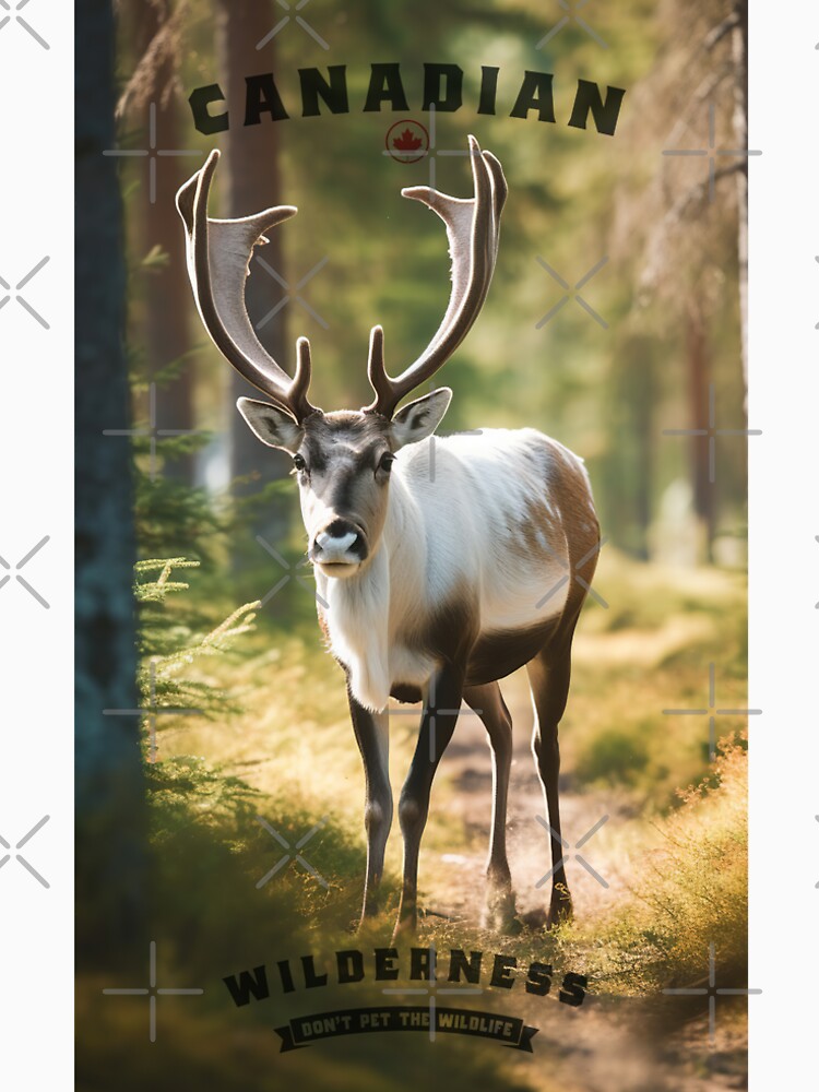 Caribou: Canadian Wildlife by ebrawne T-Shirts, Hoodie, Sweatshirt | BlankRebels.com (Image 2)