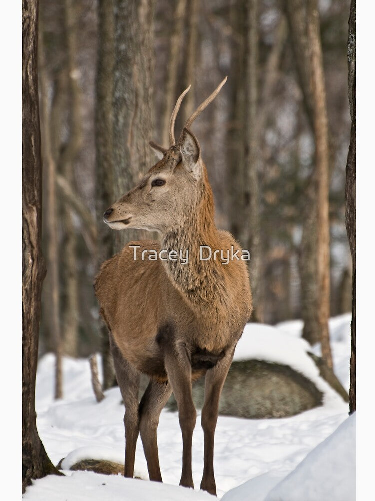 Young buck by Tracey  Dryka T-Shirts, Hoodie, Sweatshirt | BlankRebels.com (Image 3)