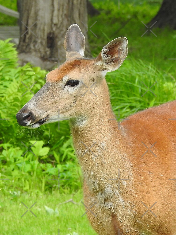 Summer Doe by priesterjen T-Shirts, Hoodie, Sweatshirt | BlankRebels.com (Image 3)