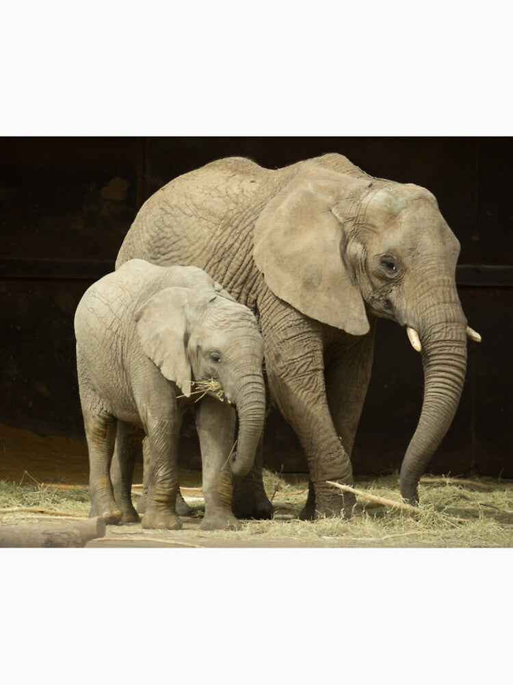 Elephants by Conservation Art Emporium T-Shirts, Hoodie, Sweatshirt | BlankRebels.com (Image 2)