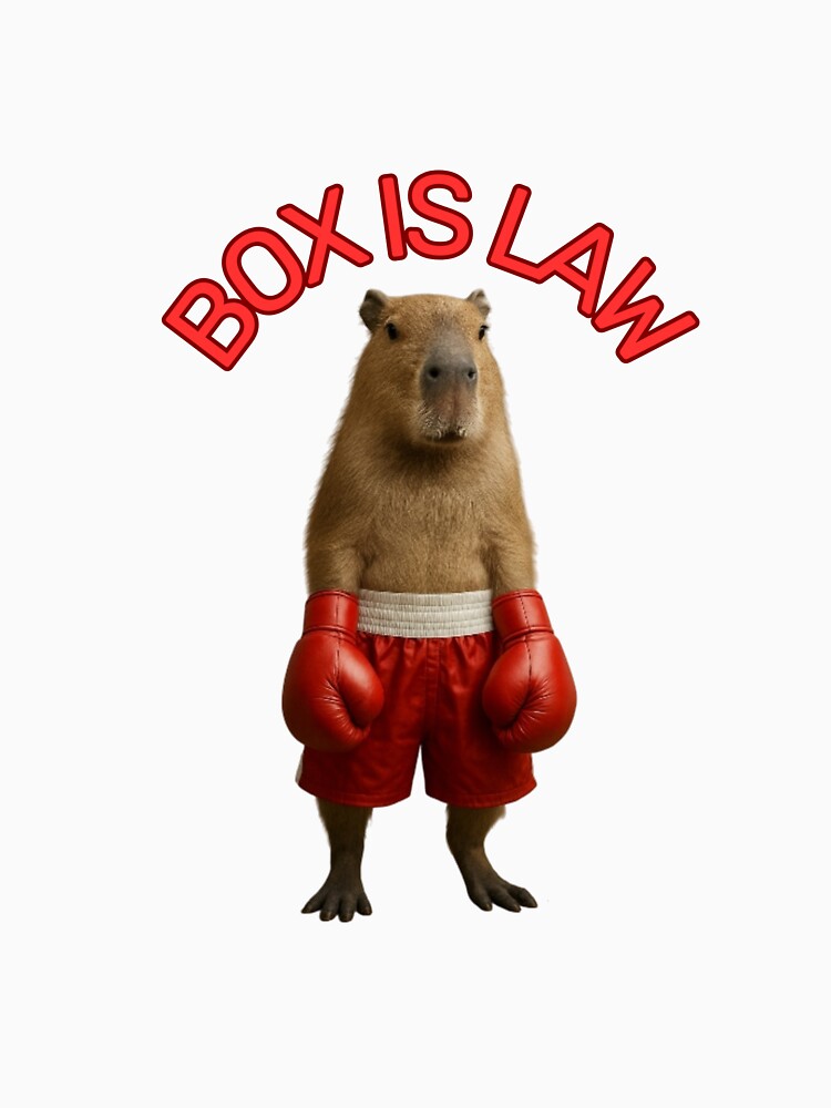 Boxing Capybara T-Shirts, Hoodie, Sweatshirt