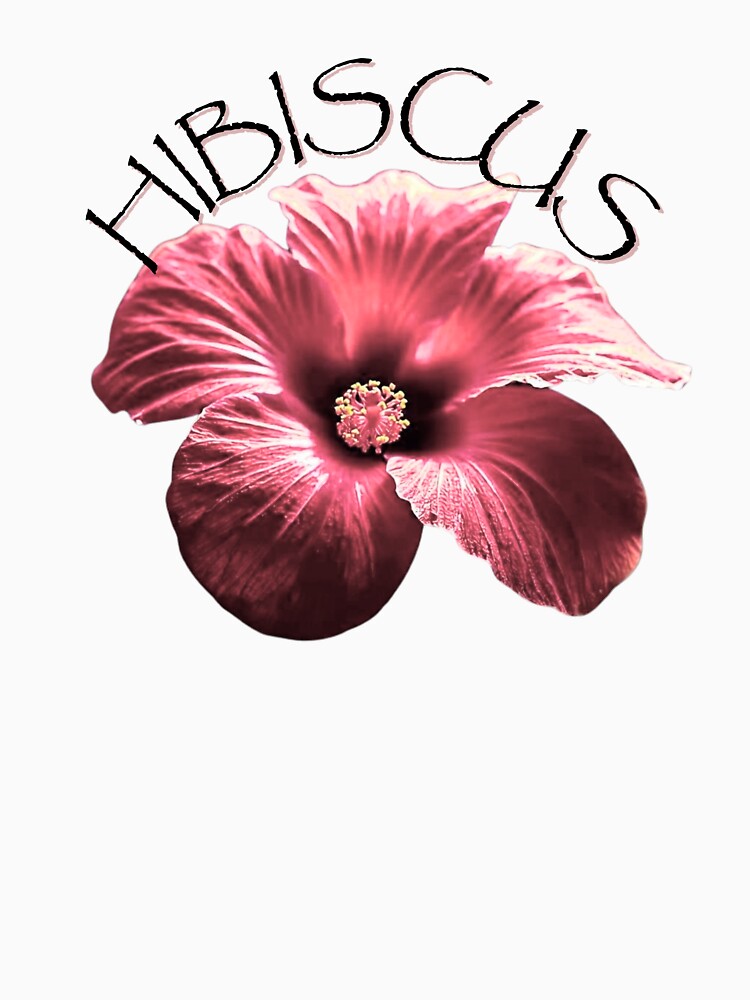Hibiscus T-Shirts, Hoodie, Sweatshirt