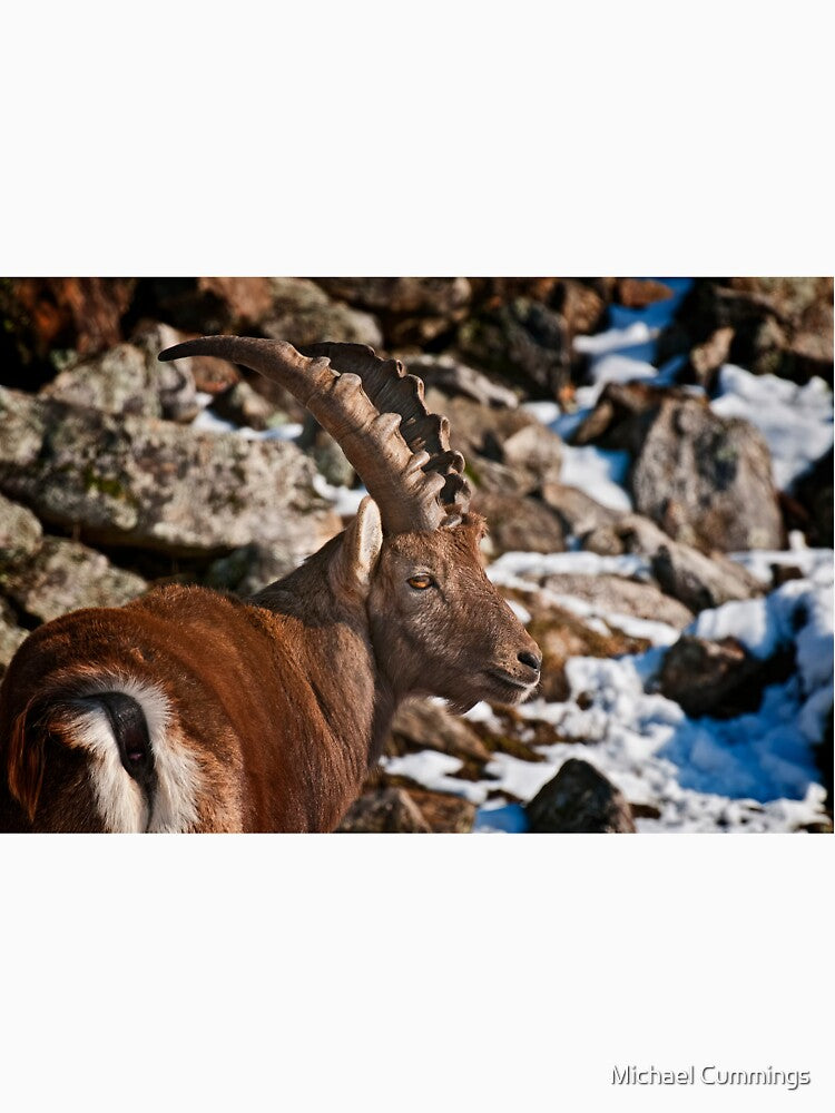 Ibex by Michael Cummings T-Shirts, Hoodie, Sweatshirt | BlankRebels.com (Image 3)