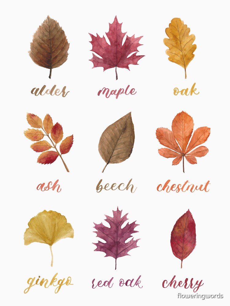 Fall Leaves Chart Watercolour Painting & Calligraphy by floweringwords T-Shirts, Hoodie, Sweatshirt (Image 3)
