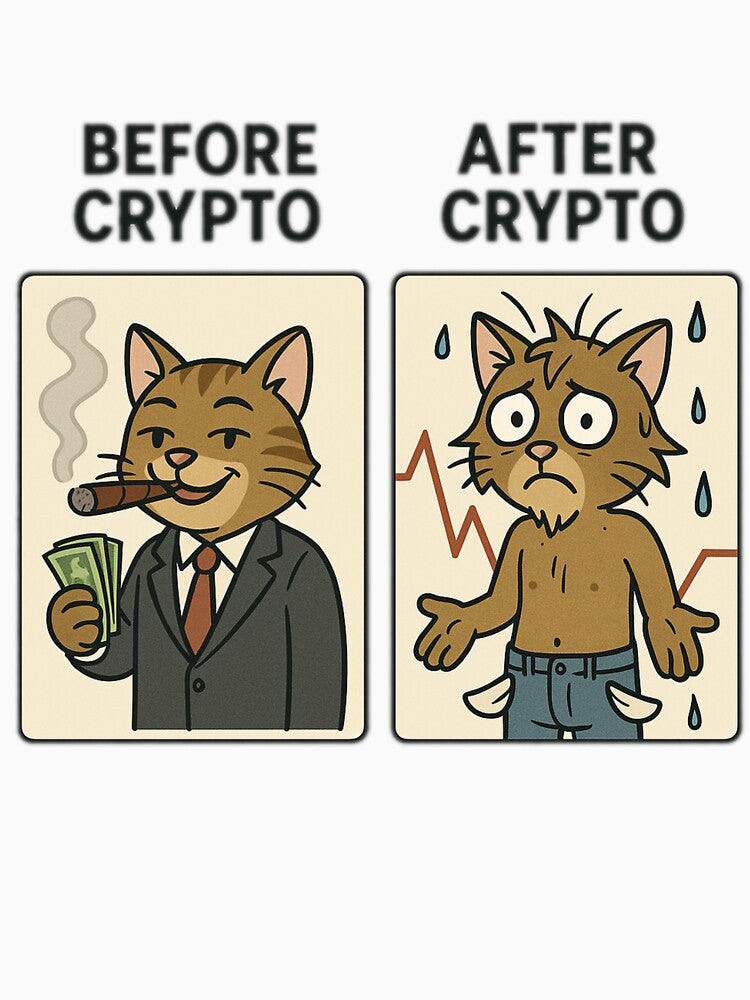Before Crypto After Crypto – Funny Crypto Meme Cat by the-dovlat T-Shirts, Hoodie, Sweatshirt | BlankRebels.com (Image 3)