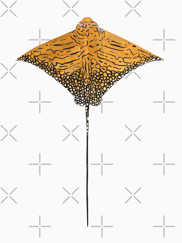 ORNATE EAGLE RAY-Aetomylaeus vespertilio by BEATRIZ ABAITUA