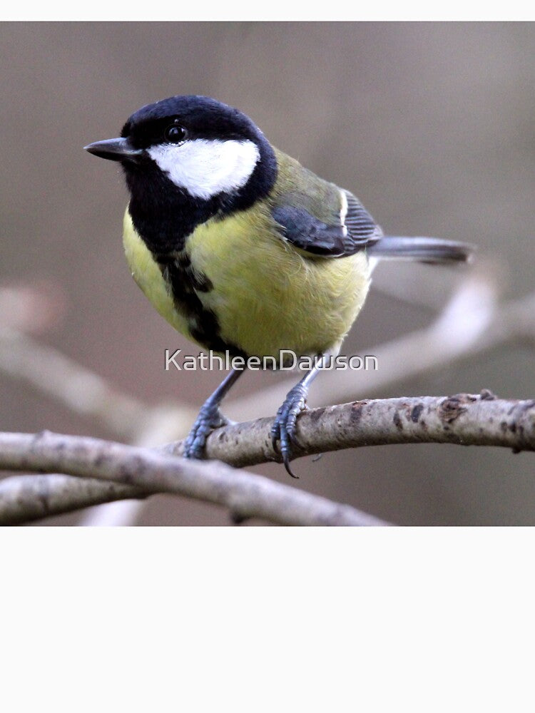 grrat tit by KathleenDawson T-Shirts, Hoodie, Sweatshirt | BlankRebels.com (Image 3)