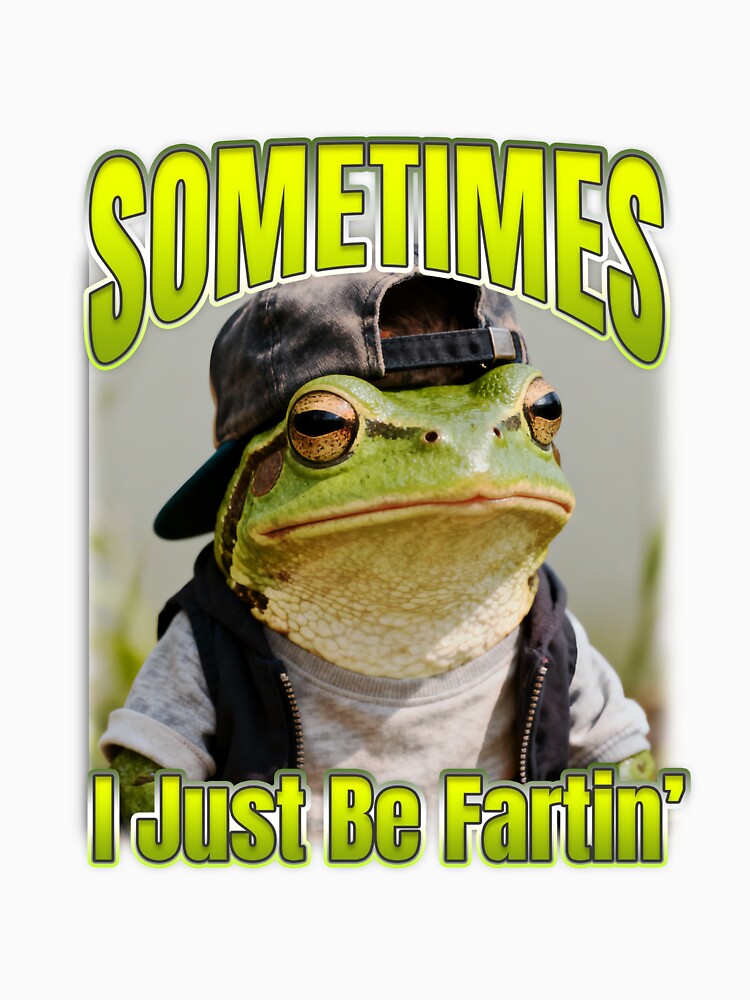 Sometimes I Just Be Fartin' T-Shirts, Hoodie, Sweatshirt