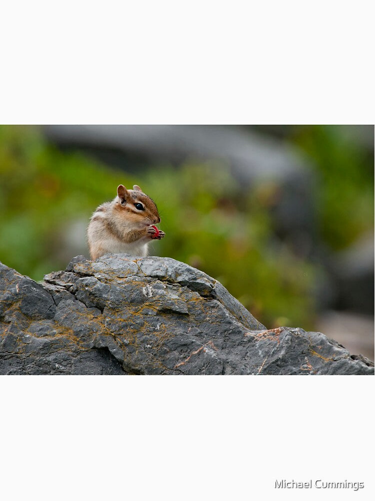 Chipmunk by Michael Cummings T-Shirts, Hoodie, Sweatshirt | BlankRebels.com (Image 3)