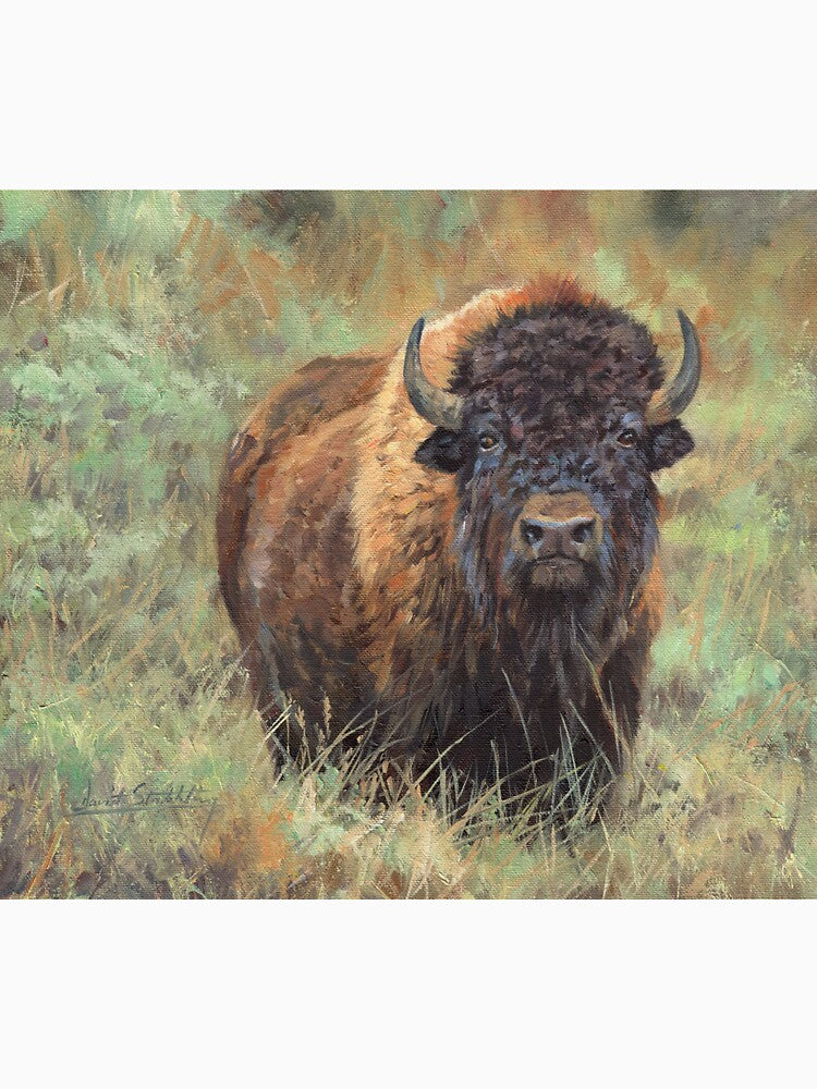 North American Bison by David Stribbling T-Shirts, Hoodie, Sweatshirt | BlankRebels.com (Image 3)