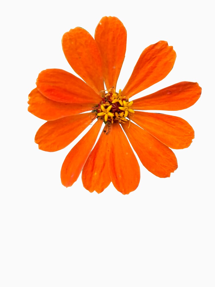 Pretty Orange Flower by mckinnon stewart T-Shirts, Hoodie, Sweatshirt | BlankRebels.com (Image 3)