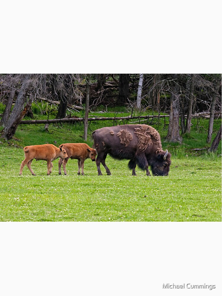 Bison With Calves by Michael Cummings T-Shirts, Hoodie, Sweatshirt | BlankRebels.com (Image 3)