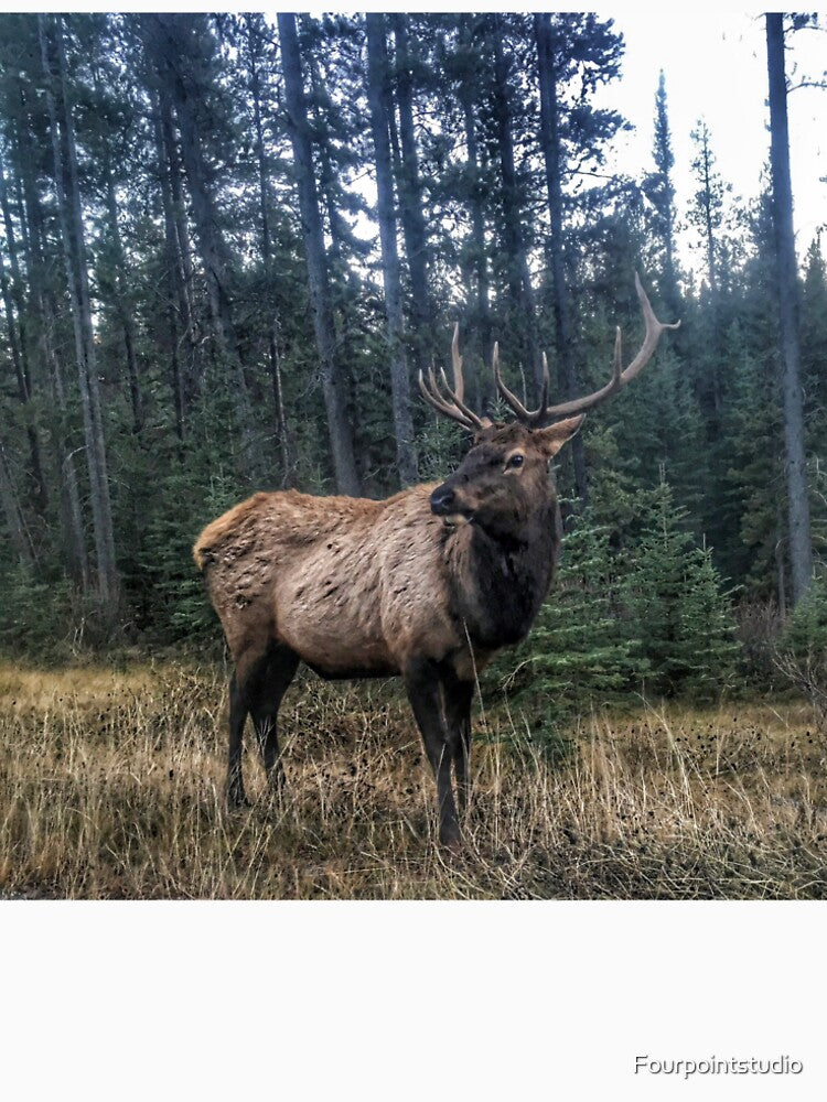 Bull Elk in the Canadian Wilderness by Fourpointstudio T-Shirts, Hoodie, Sweatshirt | BlankRebels.com (Image 2)