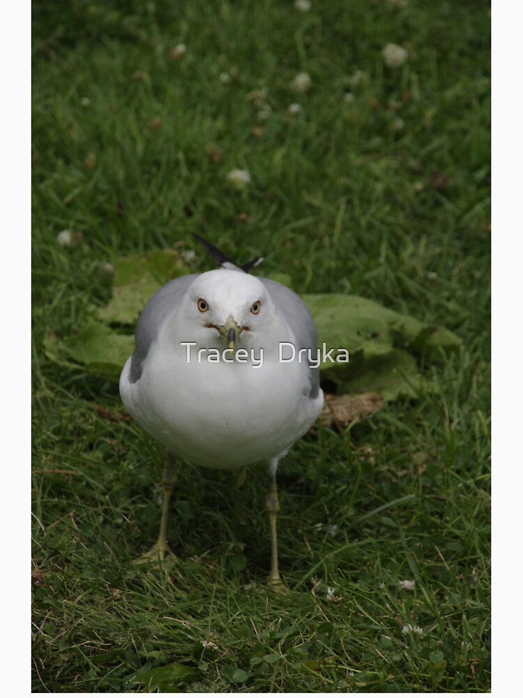 Don't mess with Me!!! - gulls, Ottawa, Ontario by Tracey  Dryka T-Shirts, Hoodie, Sweatshirt | BlankRebels.com (Image 3)