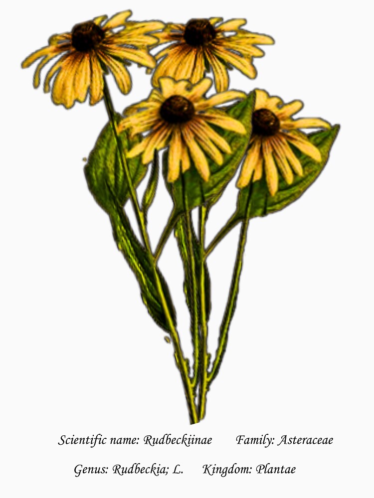 Black Eyed Susan Botanical Illustration by Flores1965 T-Shirts, Hoodie, Sweatshirt | BlankRebels.com (Image 3)