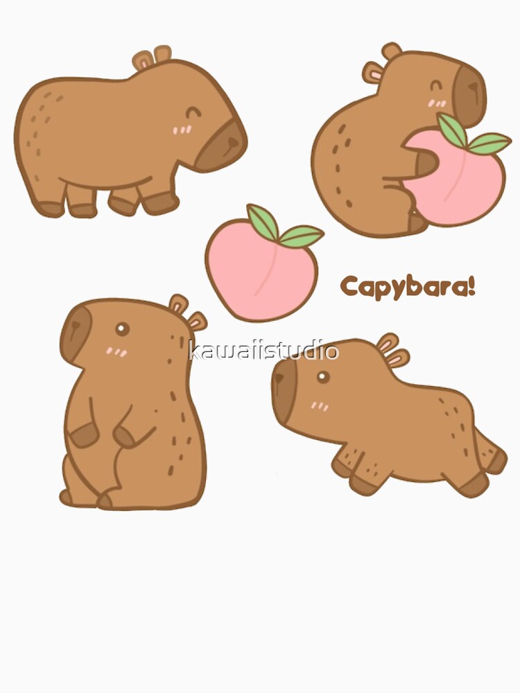 Momochi Capybara by kawaiistudio T-Shirts, Hoodie, Sweatshirt | BlankRebels.com (Image 3)