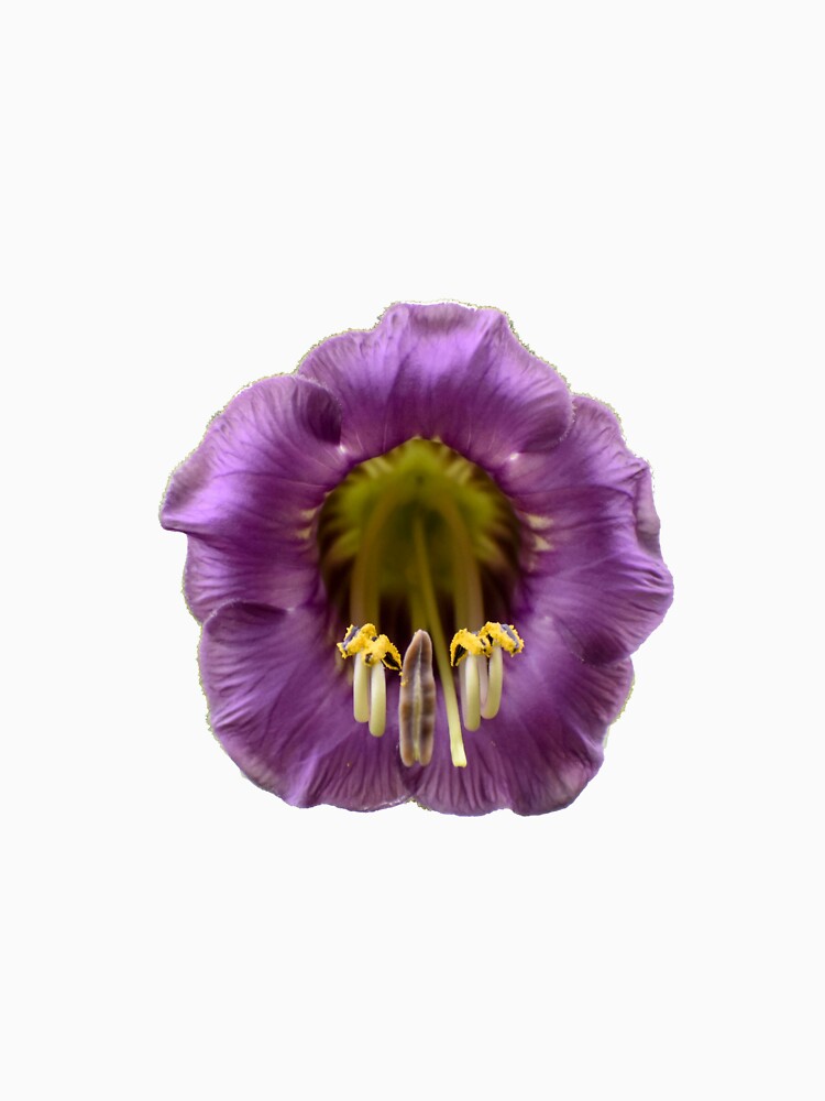 Purple Flower PNG by StylishDecor T-Shirts, Hoodie, Sweatshirt | BlankRebels.com (Image 3)