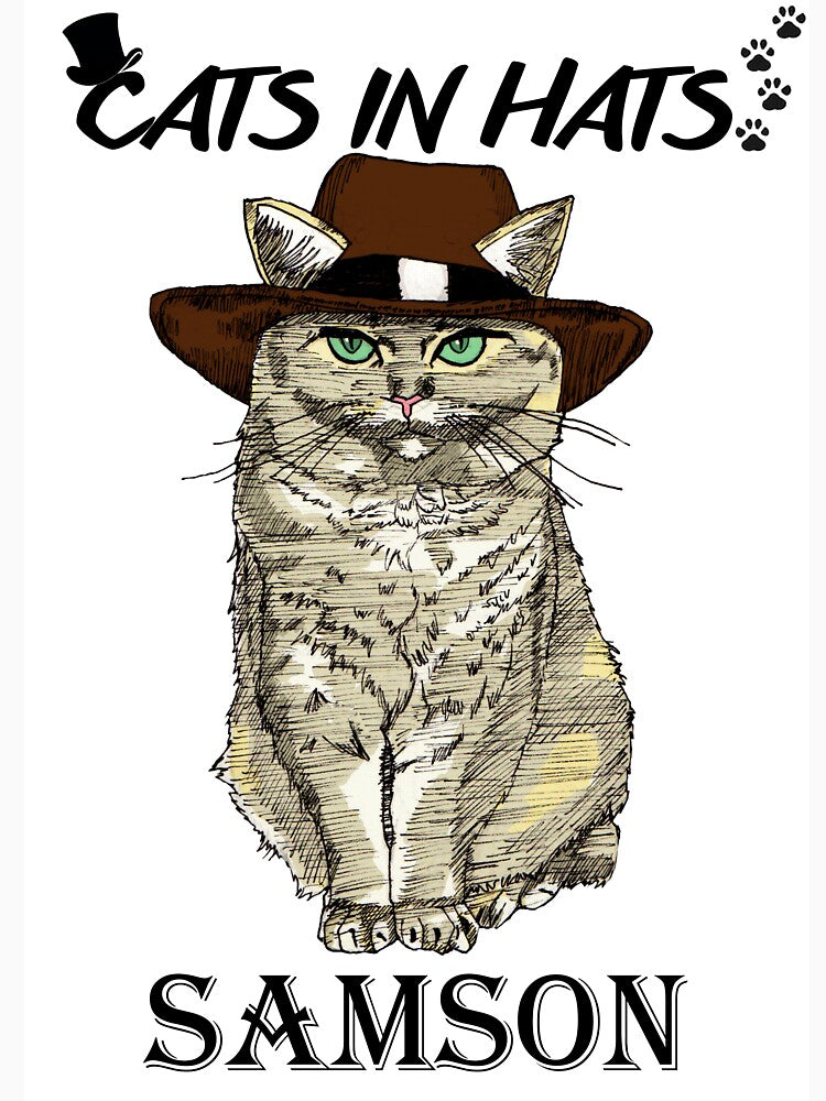 Cats In Hats Samson by RoryKennedy T-Shirts, Hoodie, Sweatshirt | BlankRebels.com (Image 3)