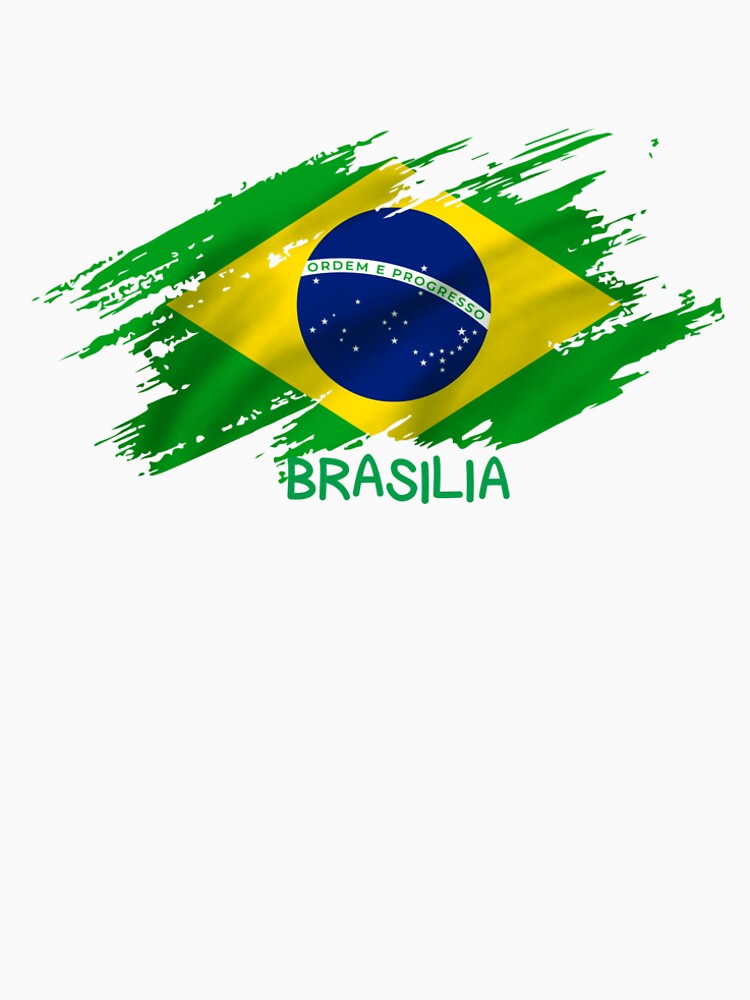 Brasilia Brazil Flag Grunge Brush Stroke Art by rich-moda