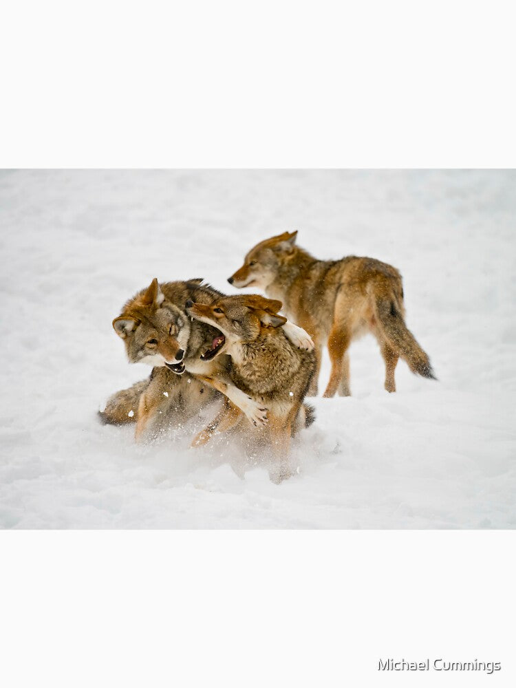 Coyotes Playing by Michael Cummings T-Shirts, Hoodie, Sweatshirt | BlankRebels.com (Image 3)