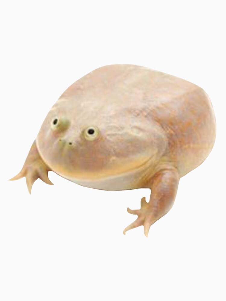 It Is Wednesday My Dudes by tttatia T-Shirts, Hoodie, Sweatshirt | BlankRebels.com (Image 2)