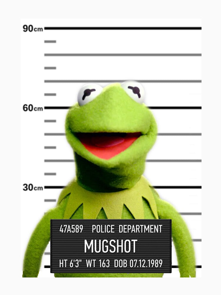 Kermit Mugshot by sandrawivia