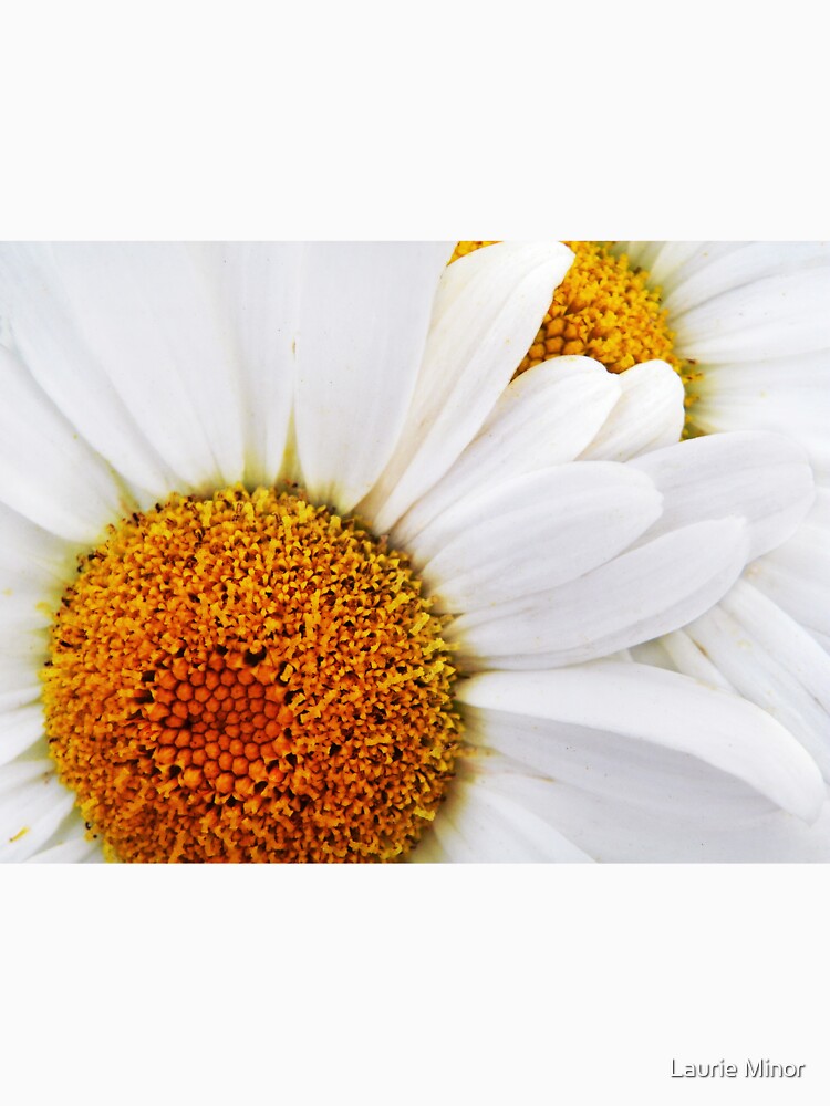 Daisy Duo by Laurie Minor