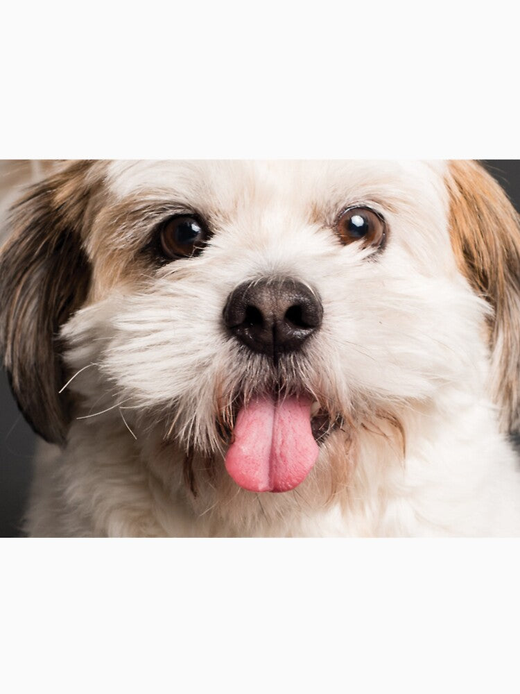 Very Cute Dog Nose Print by LemonCreations T-Shirts, Hoodie, Sweatshirt | BlankRebels.com (Image 2)
