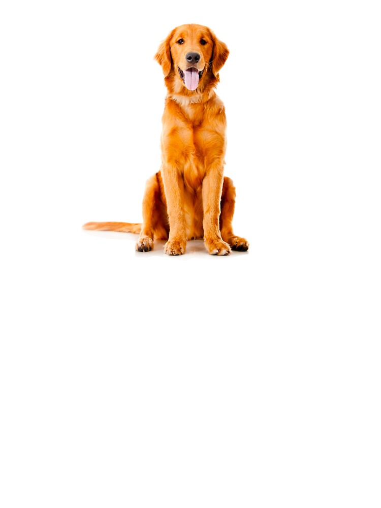 Golden Retriever by Lauren Kenney T-Shirts, Hoodie, Sweatshirt | BlankRebels.com (Image 3)