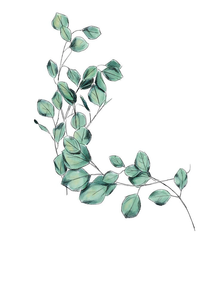 Eucalyptus Watercolor Botanical Illustration by Nathan Graves Art T-Shirts, Hoodie, Sweatshirt | BlankRebels.com (Image 3)