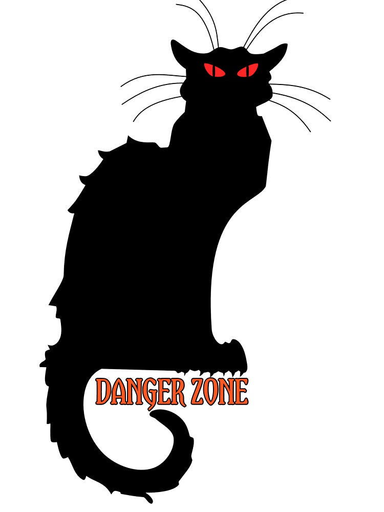 Halloween black cat Danger zone Halloween black cat by Menariya T-Shirts, Hoodie, Sweatshirt | BlankRebels.com (Image 3)