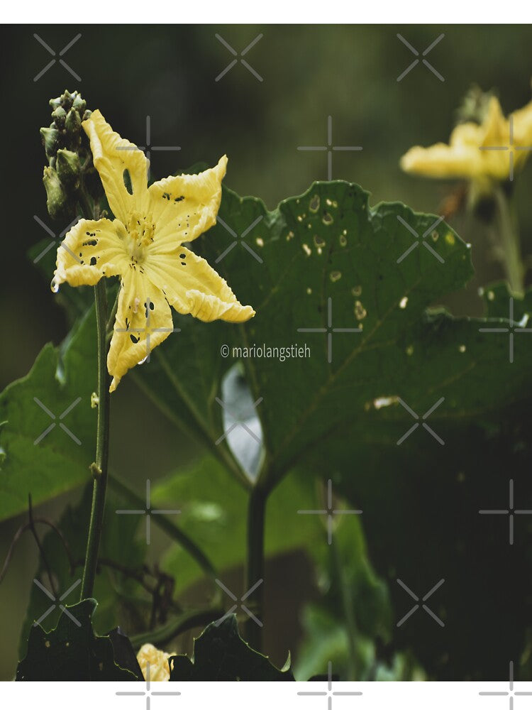 Dreamy summer flower by Mariolangstieh T-Shirts, Hoodie, Sweatshirt | BlankRebels.com (Image 3)