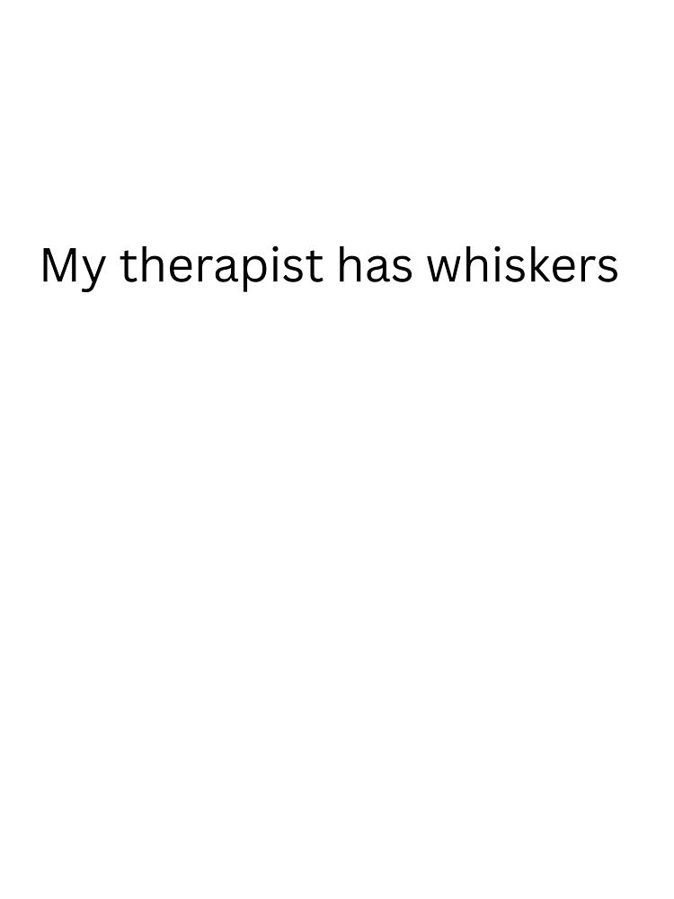 My therapist has whiskers by Tampa-cat-dad T-Shirts, Hoodie, Sweatshirt | BlankRebels.com (Image 3)