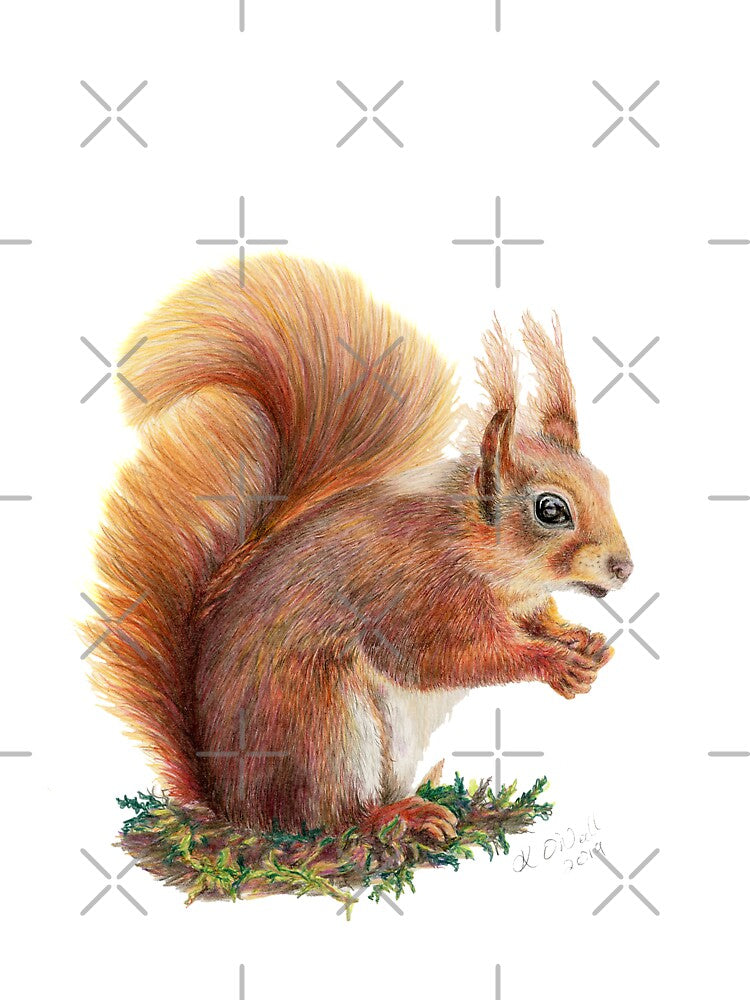 Red Squirrel by oneillanimalart T-Shirts, Hoodie, Sweatshirt | BlankRebels.com (Image 3)