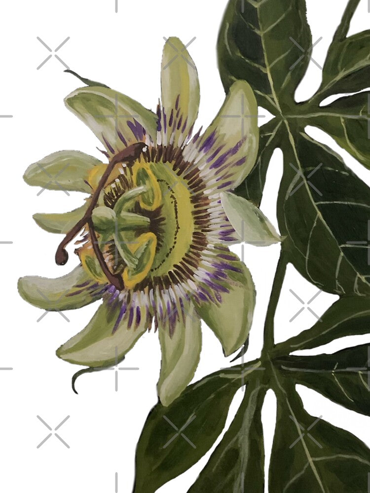 Passiflora Redux by Heather Thomas Olson T-Shirts, Hoodie, Sweatshirt | BlankRebels.com (Image 3)